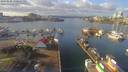 ./images/victoria/wharf/20190120/wharf20190120_130952.jpg