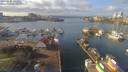 ./images/victoria/wharf/20190120/wharf20190120_131452.jpg