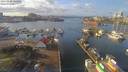 ./images/victoria/wharf/20190120/wharf20190120_131952.jpg