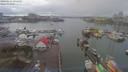 ./images/victoria/wharf/20190121/wharf20190121_094452.jpg