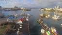 ./images/victoria/wharf/20190121/wharf20190121_105455.jpg