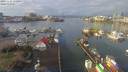 ./images/victoria/wharf/20190121/wharf20190121_111456.jpg