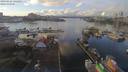 ./images/victoria/wharf/20190121/wharf20190121_131451.jpg