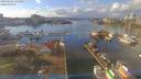./images/victoria/wharf/20190121/wharf20190121_135453.jpg