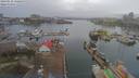 ./images/victoria/wharf/20190122/wharf20190122_120450.jpg