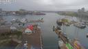 ./images/victoria/wharf/20190122/wharf20190122_120950.jpg