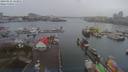 ./images/victoria/wharf/20190122/wharf20190122_123951.jpg