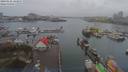 ./images/victoria/wharf/20190122/wharf20190122_143957.jpg