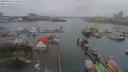 ./images/victoria/wharf/20190122/wharf20190122_152450.jpg