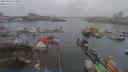 ./images/victoria/wharf/20190122/wharf20190122_152950.jpg