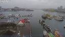 ./images/victoria/wharf/20190122/wharf20190122_154451.jpg