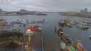 ./images/victoria/wharf/20190122/wharf20190122_162953.jpg