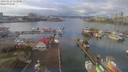 ./images/victoria/wharf/20190123/wharf20190123_113950.jpg