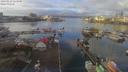 ./images/victoria/wharf/20190123/wharf20190123_114950.jpg