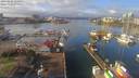 ./images/victoria/wharf/20190123/wharf20190123_120451.jpg