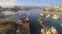 ./images/victoria/wharf/20190123/wharf20190123_121451.jpg