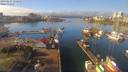 ./images/victoria/wharf/20190123/wharf20190123_122952.jpg