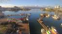 ./images/victoria/wharf/20190123/wharf20190123_124953.jpg