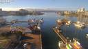 ./images/victoria/wharf/20190123/wharf20190123_131454.jpg