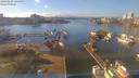 ./images/victoria/wharf/20190123/wharf20190123_134455.jpg