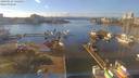 ./images/victoria/wharf/20190123/wharf20190123_135455.jpg