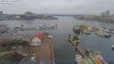 ./images/victoria/wharf/20190124/wharf20190124_111456.jpg