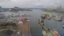 ./images/victoria/wharf/20190124/wharf20190124_120458.jpg