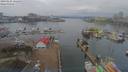 ./images/victoria/wharf/20190124/wharf20190124_121459.jpg