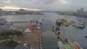 ./images/victoria/wharf/20190124/wharf20190124_152958.jpg