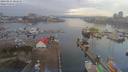 ./images/victoria/wharf/20190125/wharf20190125_084958.jpg