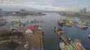 ./images/victoria/wharf/20190125/wharf20190125_092450.jpg