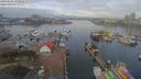 ./images/victoria/wharf/20190125/wharf20190125_092950.jpg