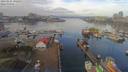 ./images/victoria/wharf/20190125/wharf20190125_102953.jpg
