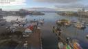 ./images/victoria/wharf/20190125/wharf20190125_122458.jpg