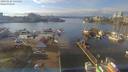 ./images/victoria/wharf/20190125/wharf20190125_135452.jpg