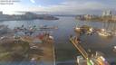 ./images/victoria/wharf/20190125/wharf20190125_141453.jpg