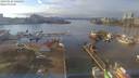 ./images/victoria/wharf/20190125/wharf20190125_142453.jpg
