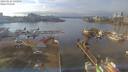 ./images/victoria/wharf/20190125/wharf20190125_142953.jpg