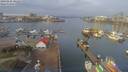 ./images/victoria/wharf/20190126/wharf20190126_101453.jpg