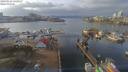 ./images/victoria/wharf/20190126/wharf20190126_132953.jpg