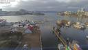 ./images/victoria/wharf/20190126/wharf20190126_134453.jpg