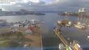 ./images/victoria/wharf/20190126/wharf20190126_140454.jpg