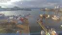 ./images/victoria/wharf/20190126/wharf20190126_141955.jpg