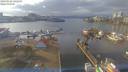 ./images/victoria/wharf/20190126/wharf20190126_142455.jpg