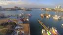 ./images/victoria/wharf/20190204/wharf20190204_120453.jpg