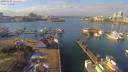 ./images/victoria/wharf/20190204/wharf20190204_122454.jpg