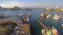 ./images/victoria/wharf/20190204/wharf20190204_124455.jpg