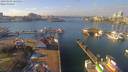 ./images/victoria/wharf/20190204/wharf20190204_125956.jpg