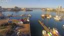 ./images/victoria/wharf/20190205/wharf20190205_111457.jpg