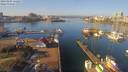 ./images/victoria/wharf/20190205/wharf20190205_112457.jpg